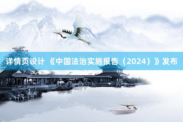 详情页设计 《中国法治实施报告（2024）》发布