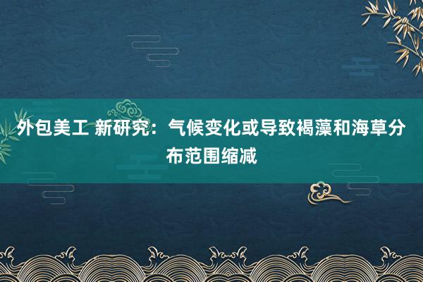 外包美工 新研究：气候变化或导致褐藻和海草分布范围缩减