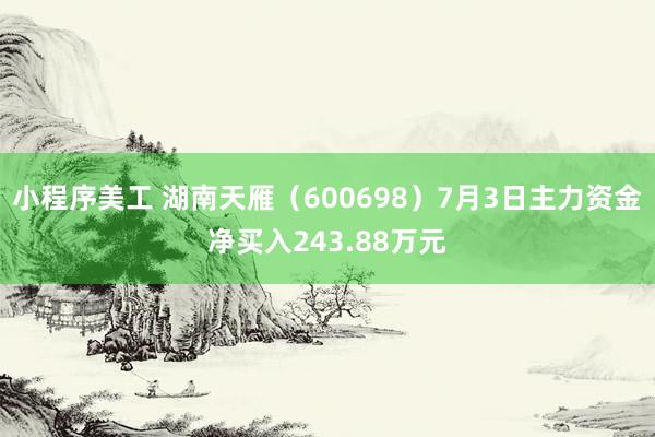 小程序美工 湖南天雁（600698）7月3日主力资金净买入243.88万元