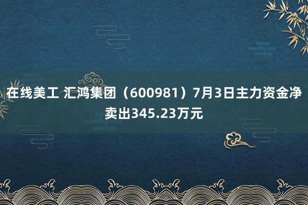 在线美工 汇鸿集团（600981）7月3日主力资金净卖出345.23万元