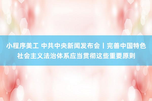 小程序美工 中共中央新闻发布会丨完善中国特色社会主义法治体系应当贯彻这些重要原则