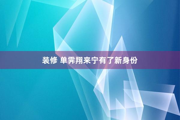 装修 单霁翔来宁有了新身份