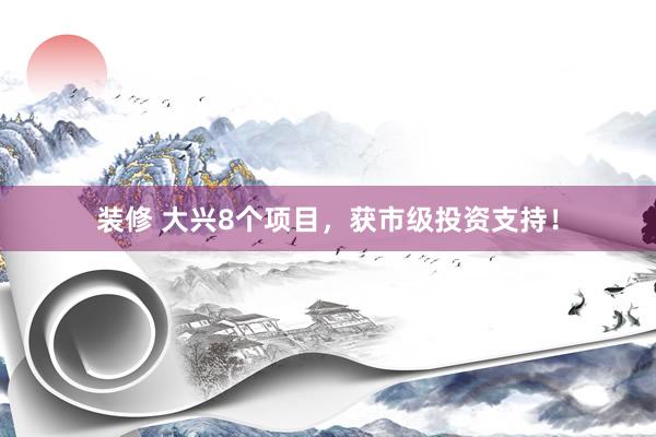 装修 大兴8个项目，获市级投资支持！