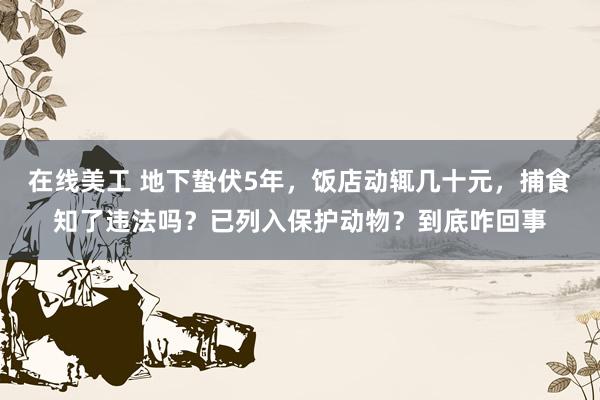 在线美工 地下蛰伏5年，饭店动辄几十元，捕食知了违法吗？已列入保护动物？到底咋回事