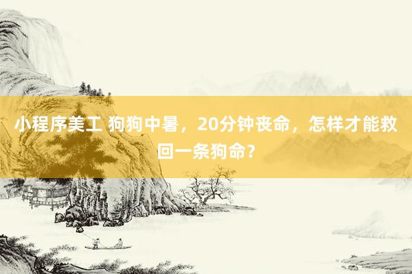 小程序美工 狗狗中暑，20分钟丧命，怎样才能救回一条狗命？