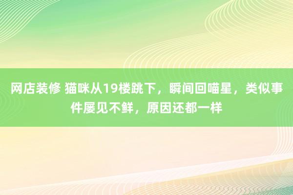 网店装修 猫咪从19楼跳下，瞬间回喵星，类似事件屡见不鲜，原因还都一样