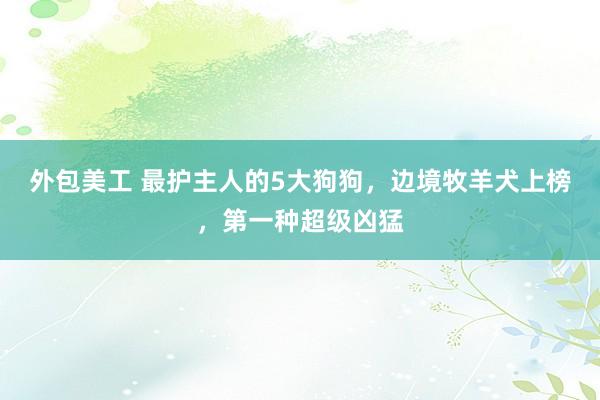 外包美工 最护主人的5大狗狗，边境牧羊犬上榜，第一种超级凶猛