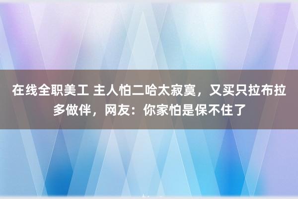 在线全职美工 主人怕二哈太寂寞，又买只拉布拉多做伴，网友：你家怕是保不住了